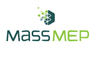 Mass MEP